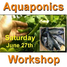 Introduction to Aquaponics - 1 Day Workshop - Perth - June 27th, 2020